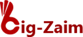 big zaim логотип